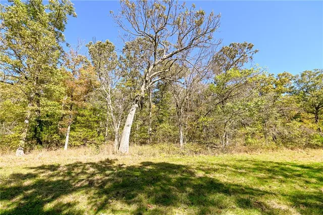 $869,000 | 33981 County Road 96, Cross Timbers, MO 65634