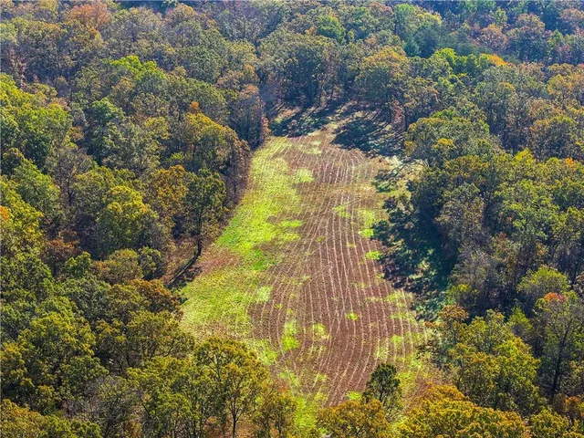 $869,000 | 33981 County Road 96, Cross Timbers, MO 65634