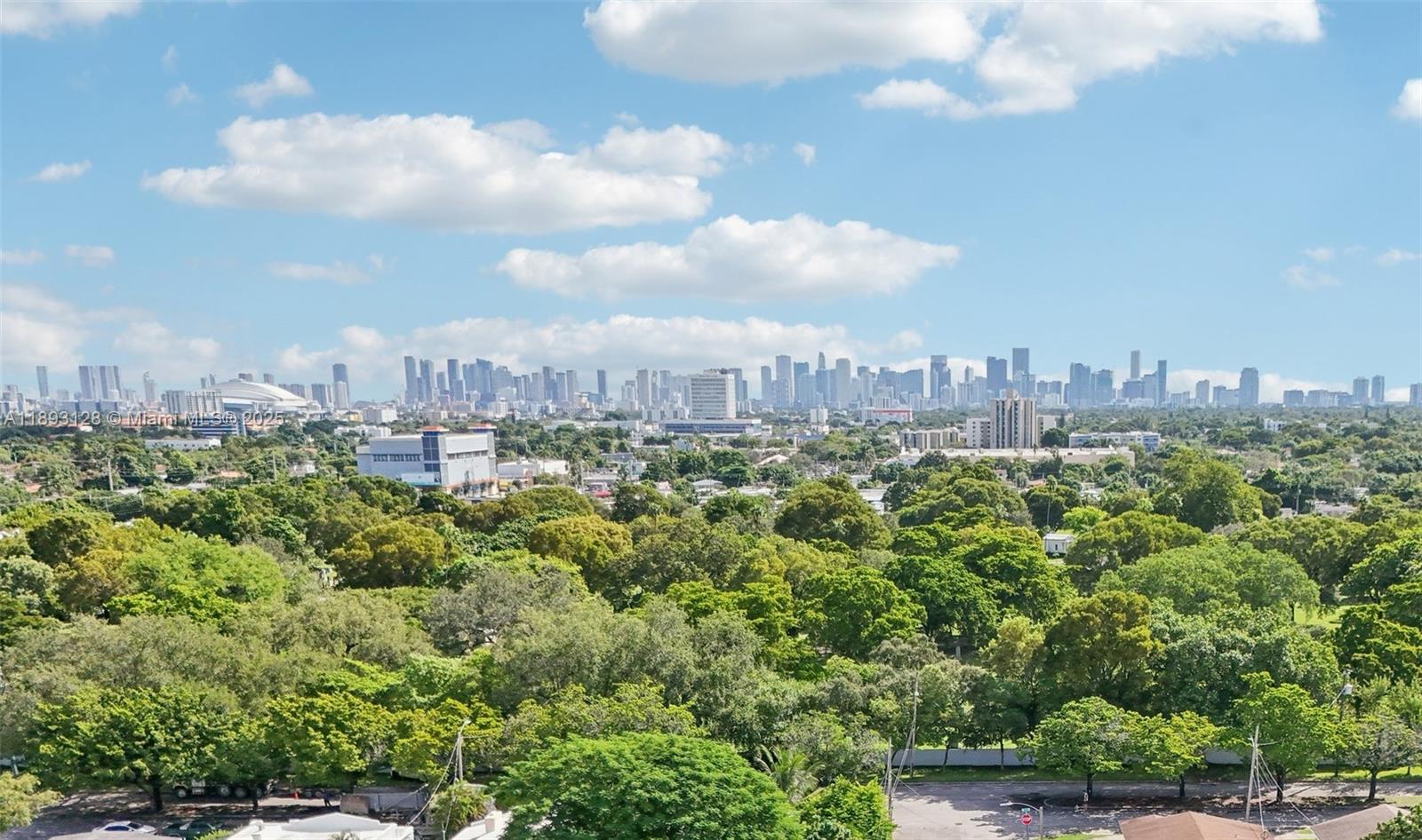 3300 Southwest 9th Terrace Miami, FL 33135 - Photo 8 of 25