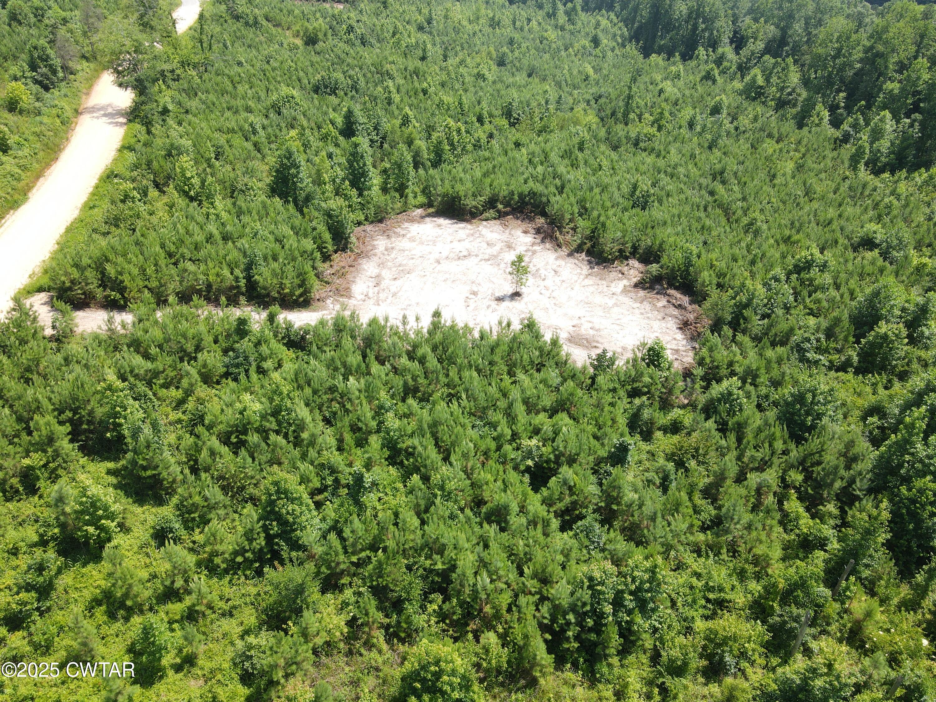 2 Tucker Road Decaturville, TN 38329 - Photo 3 of 7 dji_fly_20250625_145754_957_175087788605