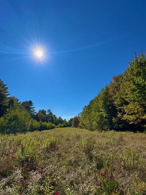 Lot 2 Oak Hill Road Norridgewock, ME 04957 - Photo 12 of 16 IMG_6236