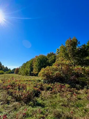 $89,000 | Lot 2 Oak Hill Road, Norridgewock, ME 04957