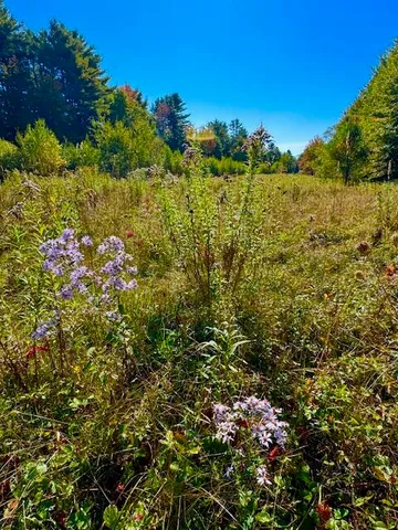 $89,000 | Lot 2 Oak Hill Road, Norridgewock, ME 04957