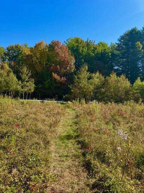 Lot 2 Oak Hill Road Norridgewock, ME 04957 - Photo 6 of 16 IMG_6229