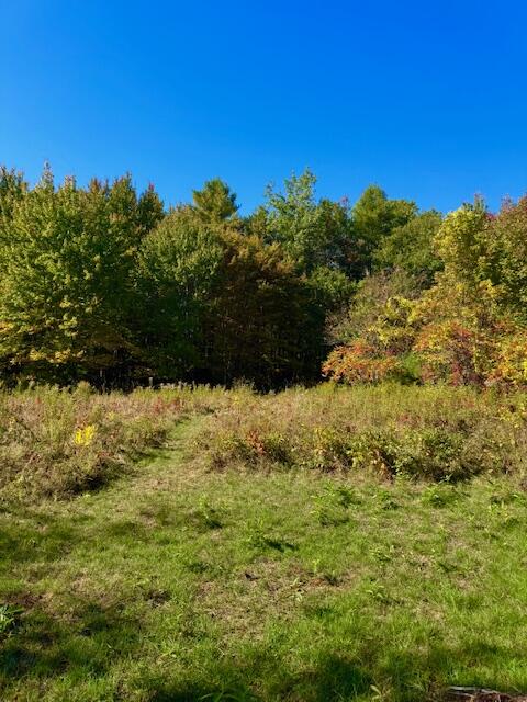 Lot 2 Oak Hill Road Norridgewock, ME 04957 - Photo 9 of 16 IMG_6225