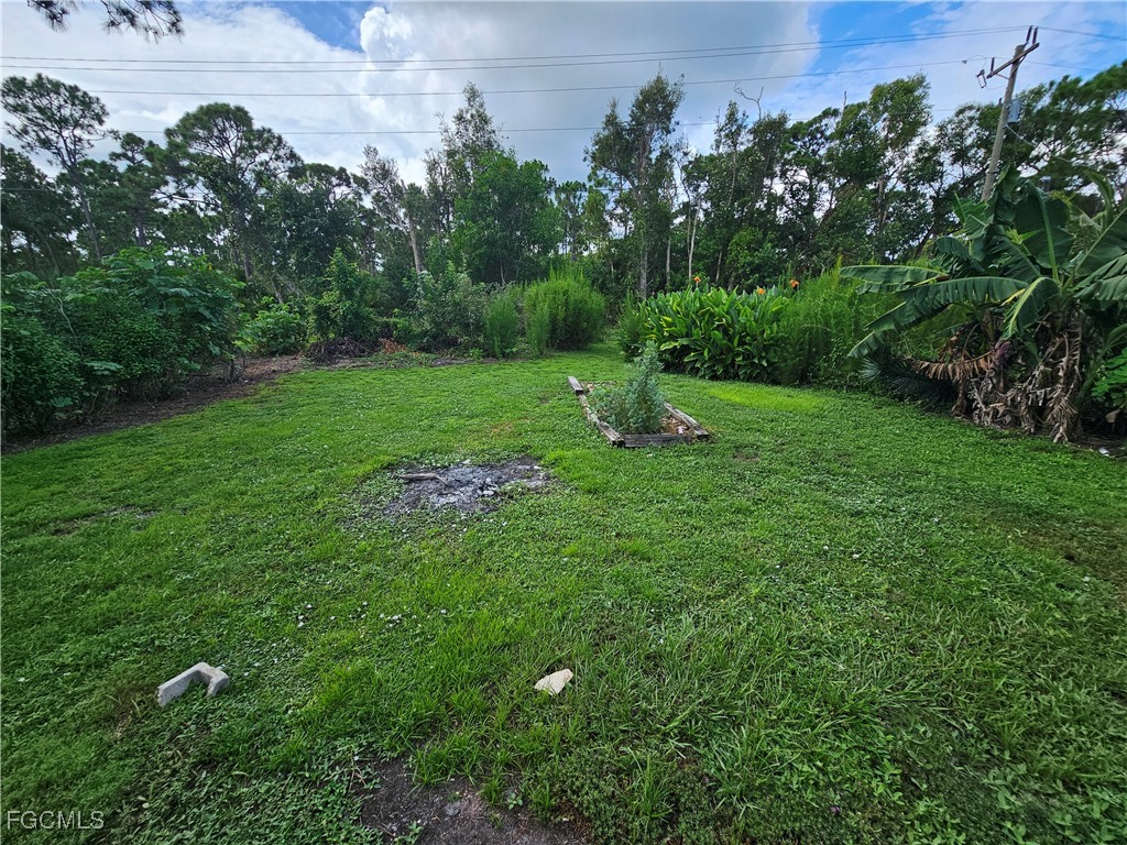 5487 Judith Road Bokeelia, FL 33922 - Photo 17 of 18 a view of a garden with plants