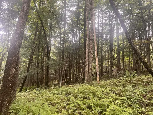 $329,900 | 0 East Hill Road, East Montpelier, VT 05651