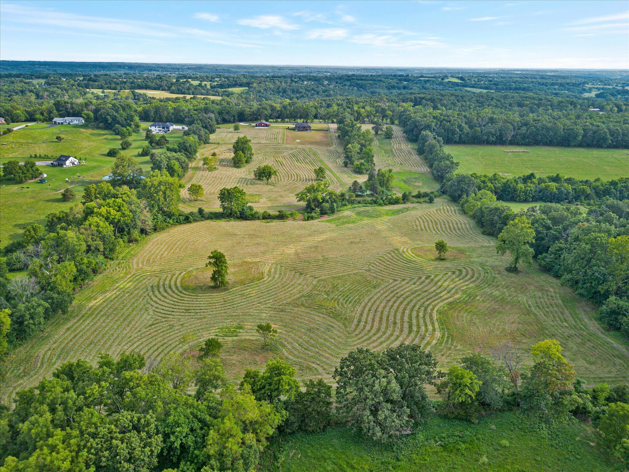 0 West Rosedale Road Nixa, MO 65714 - Photo 1 of 10 Aerial View