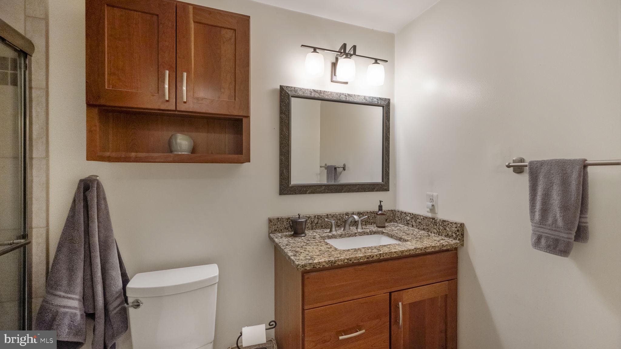 11420 Hawkes Road Clarksburg, MD 20871 - Photo 26 of 39 Primary bath