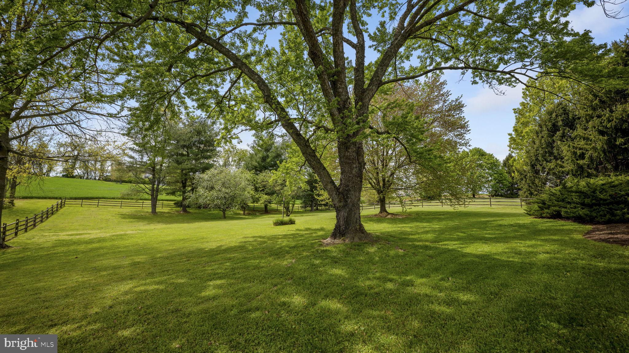 11420 Hawkes Road Clarksburg, MD 20871 - Photo 36 of 39 Fantastic backyard space