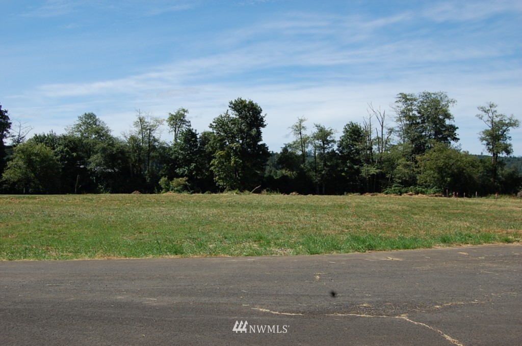 3 Goldau Road Raymond, WA 98577 - Photo 1 of 1 Gallery Image 1