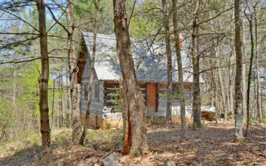 607 Bushy Head Road Cherry Log, GA 30522 - Photo 1 of 1 Main View