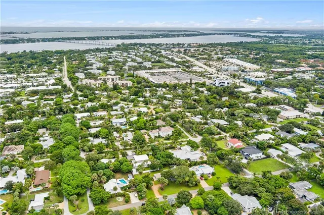 a closeup of a plant