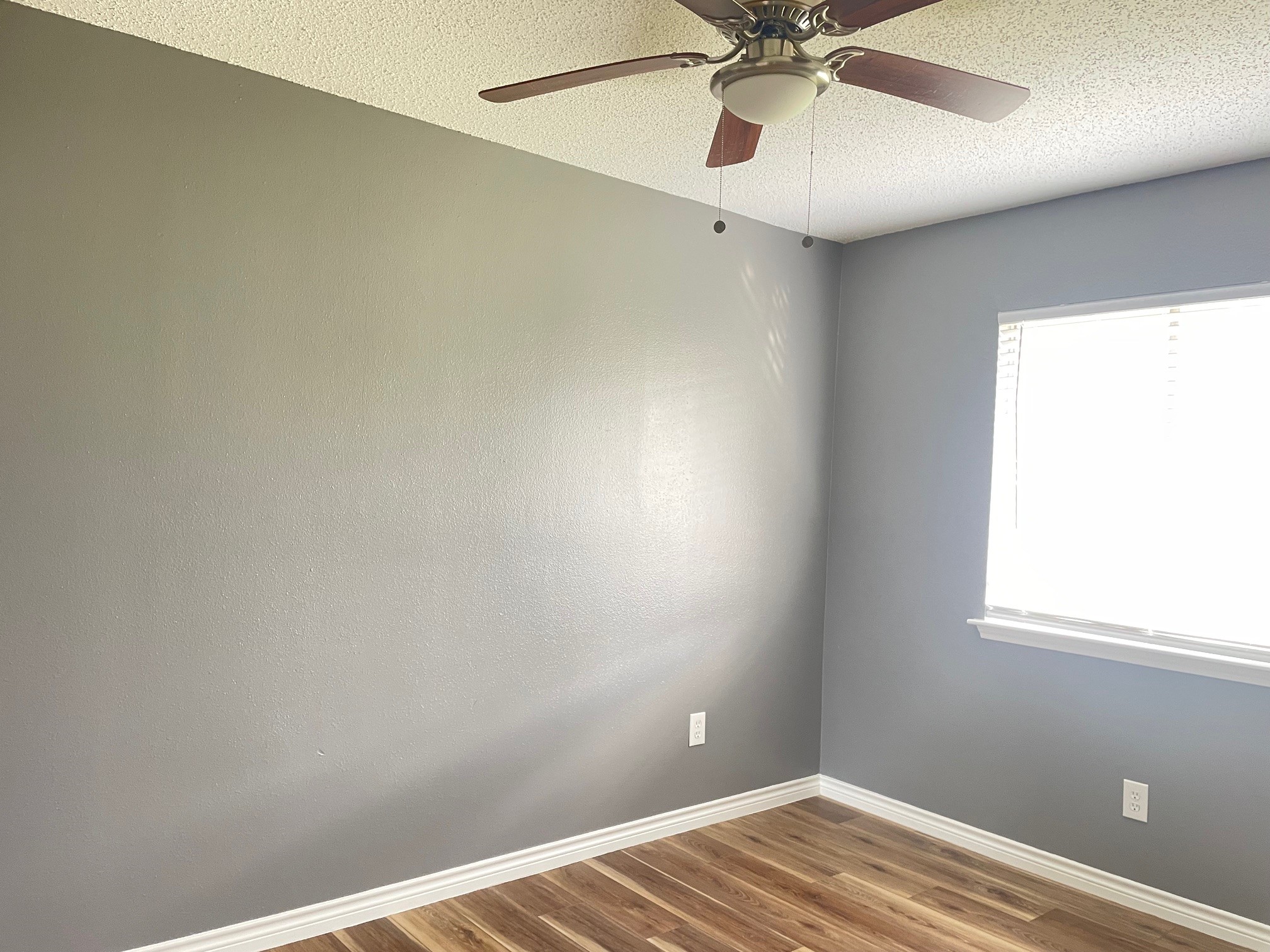 15807 Beechnut Street Houston, TX 77083 - Photo 8 of 13