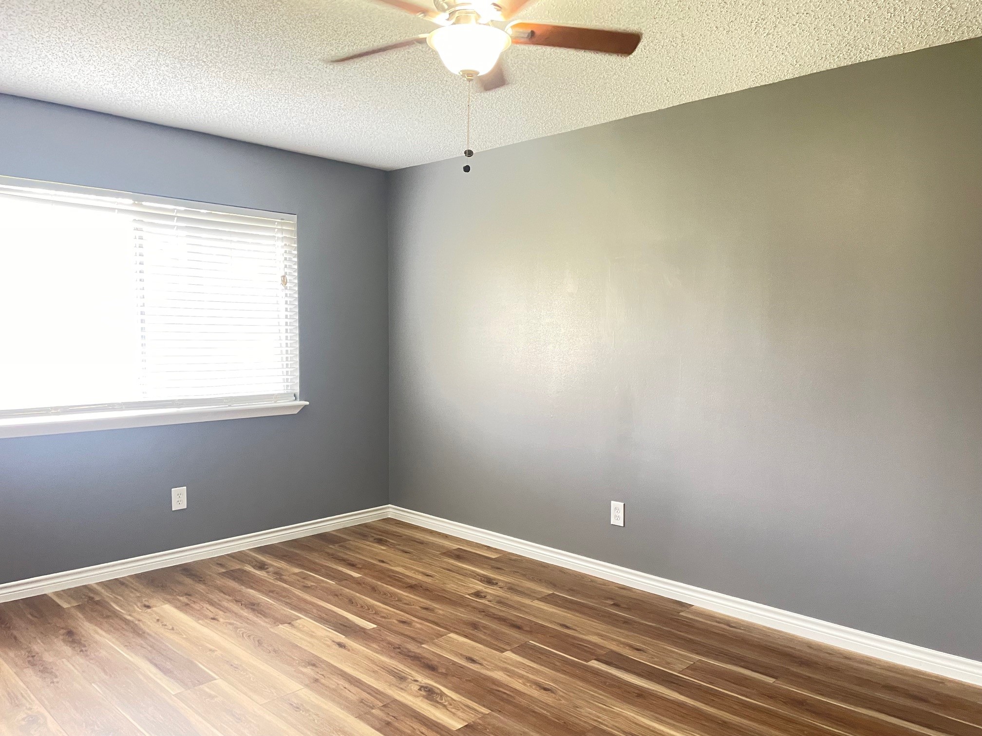 15807 Beechnut Street Houston, TX 77083 - Photo 9 of 13