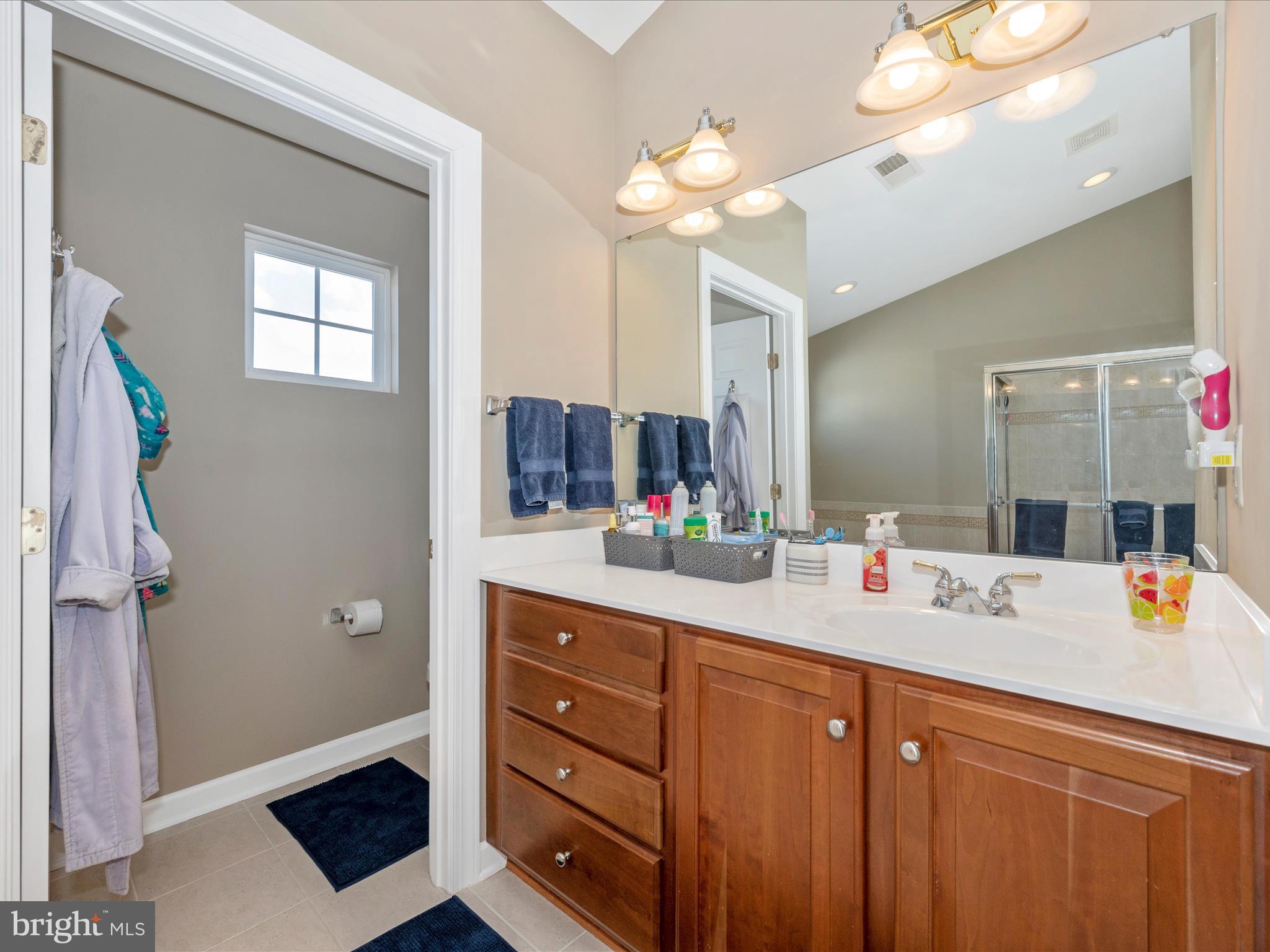 9806 Ripple Drive Williamsport, MD 21795 - Photo 30 of 58 Primary Bathroom