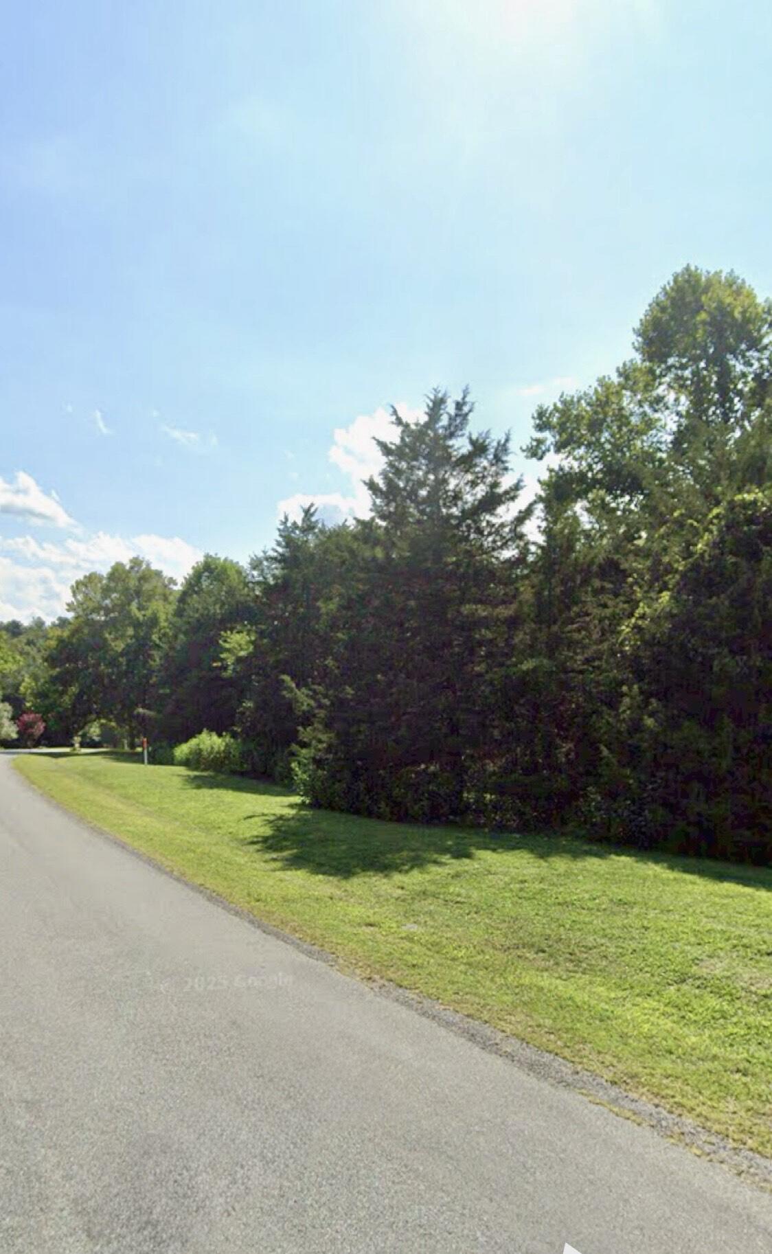 Lot 18 Walnut Run Hardy, VA 24101 - Photo 2 of 11 Road Front
