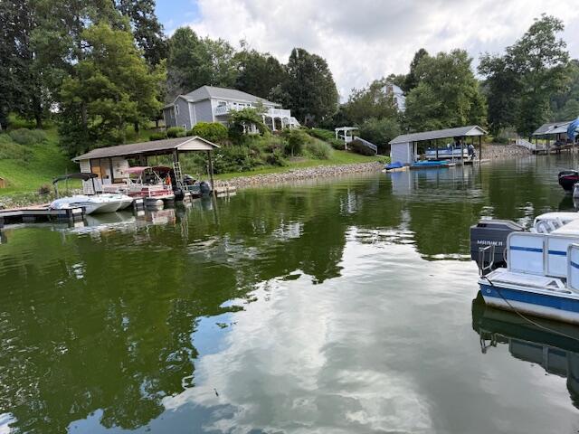 Lot 18 Walnut Run Hardy, VA 24101 - Photo 10 of 11 Deep water