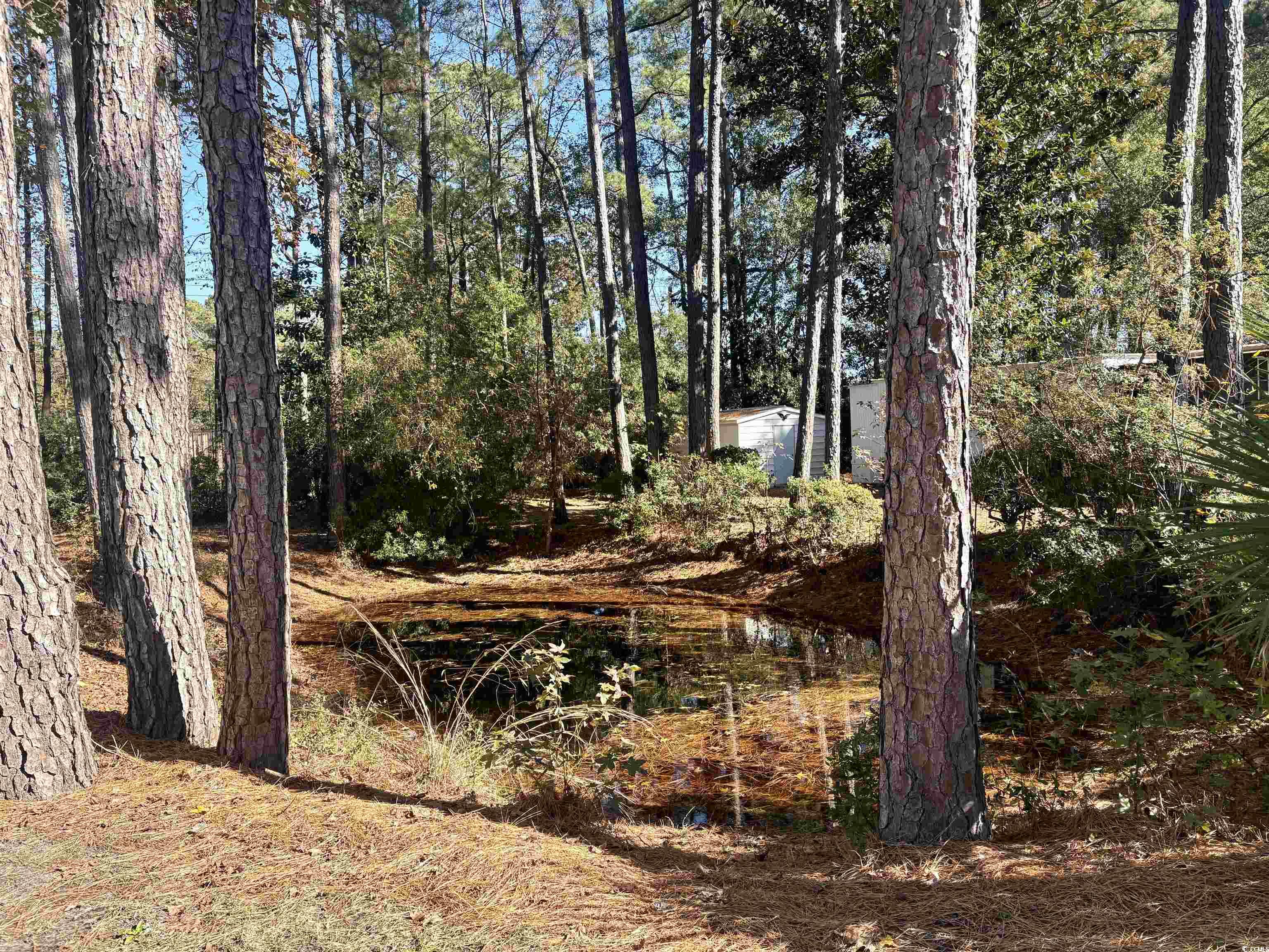 786 Richmond Trail Murrells Inlet, SC 29576 - Photo 3 of 23