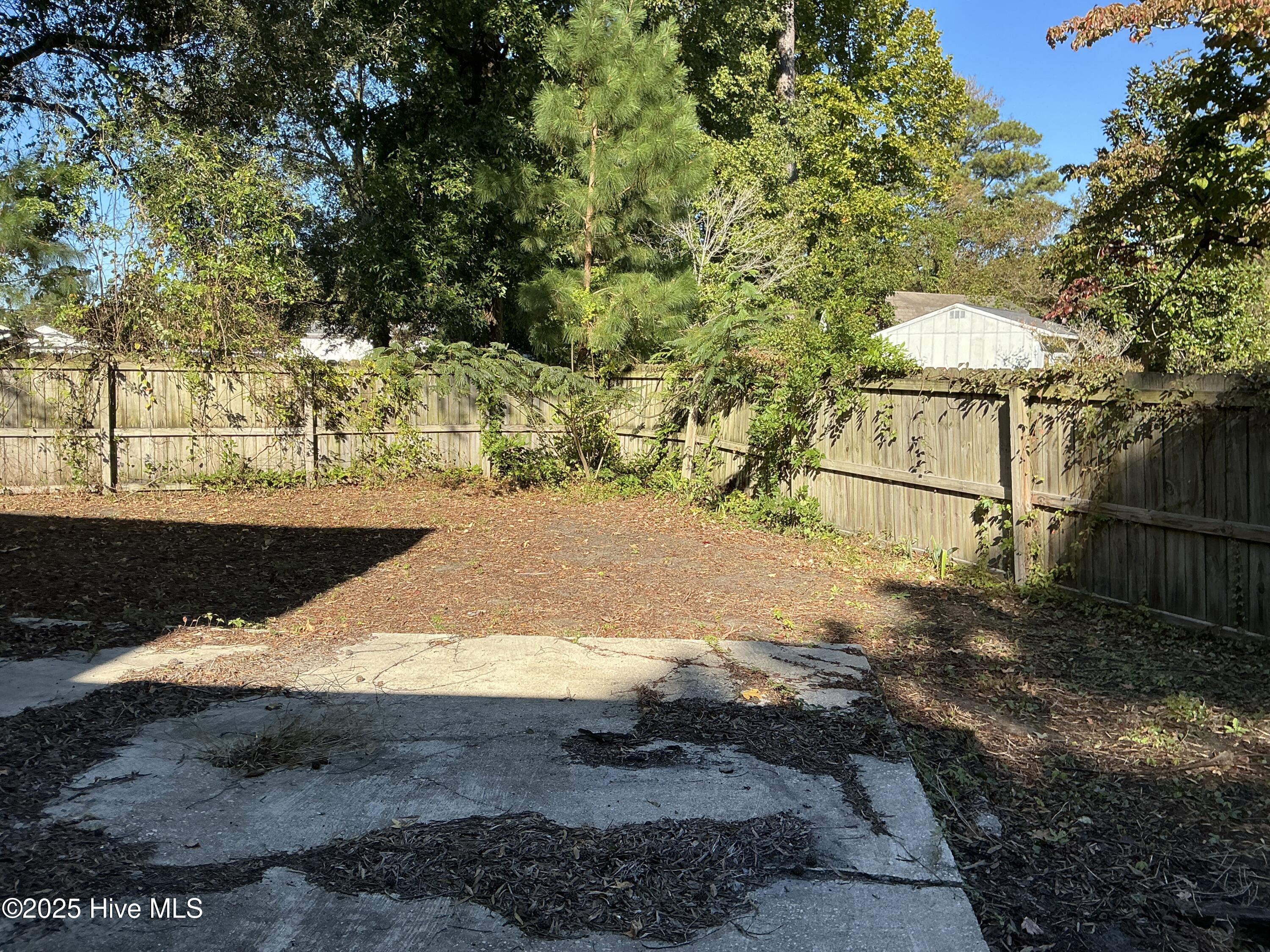 1201 Clifton Road Jacksonville, NC 28540 - Photo 26 of 28 Backyard