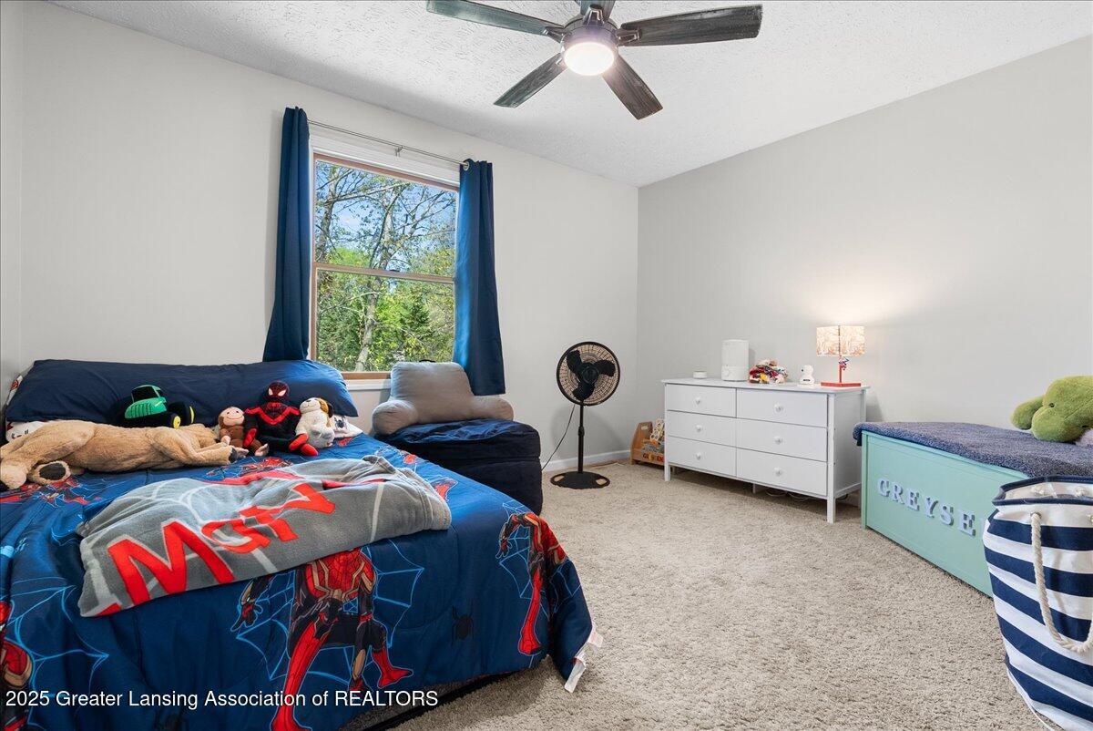 816 Creyts Road Dimondale, MI 48821 - Photo 23 of 49 24-Media Jett - 18