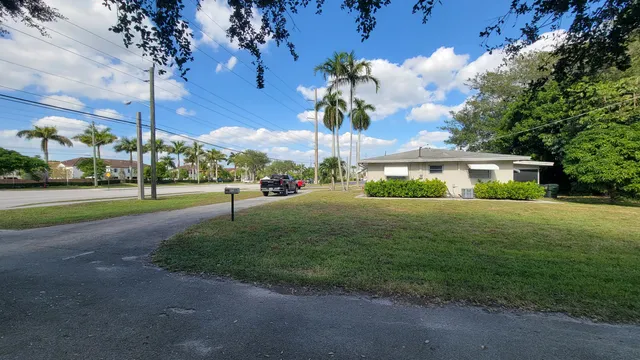 a view of a park that has a tree in it