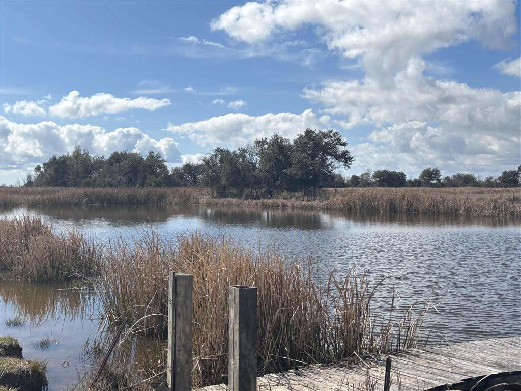 Tbd Tbd Tbd Gueydan, LA 70542 - Photo 3 of 5 Pond stocked with Soca let and Bass and Brim.