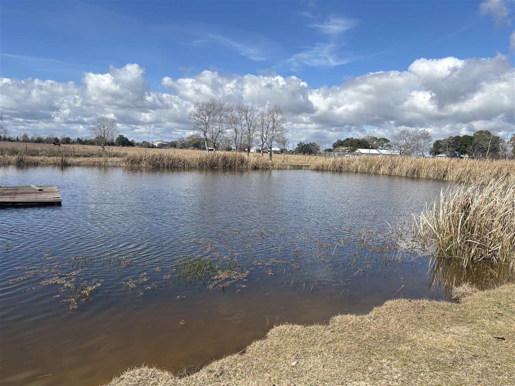 Tbd Tbd Tbd Gueydan, LA 70542 - Photo 4 of 5