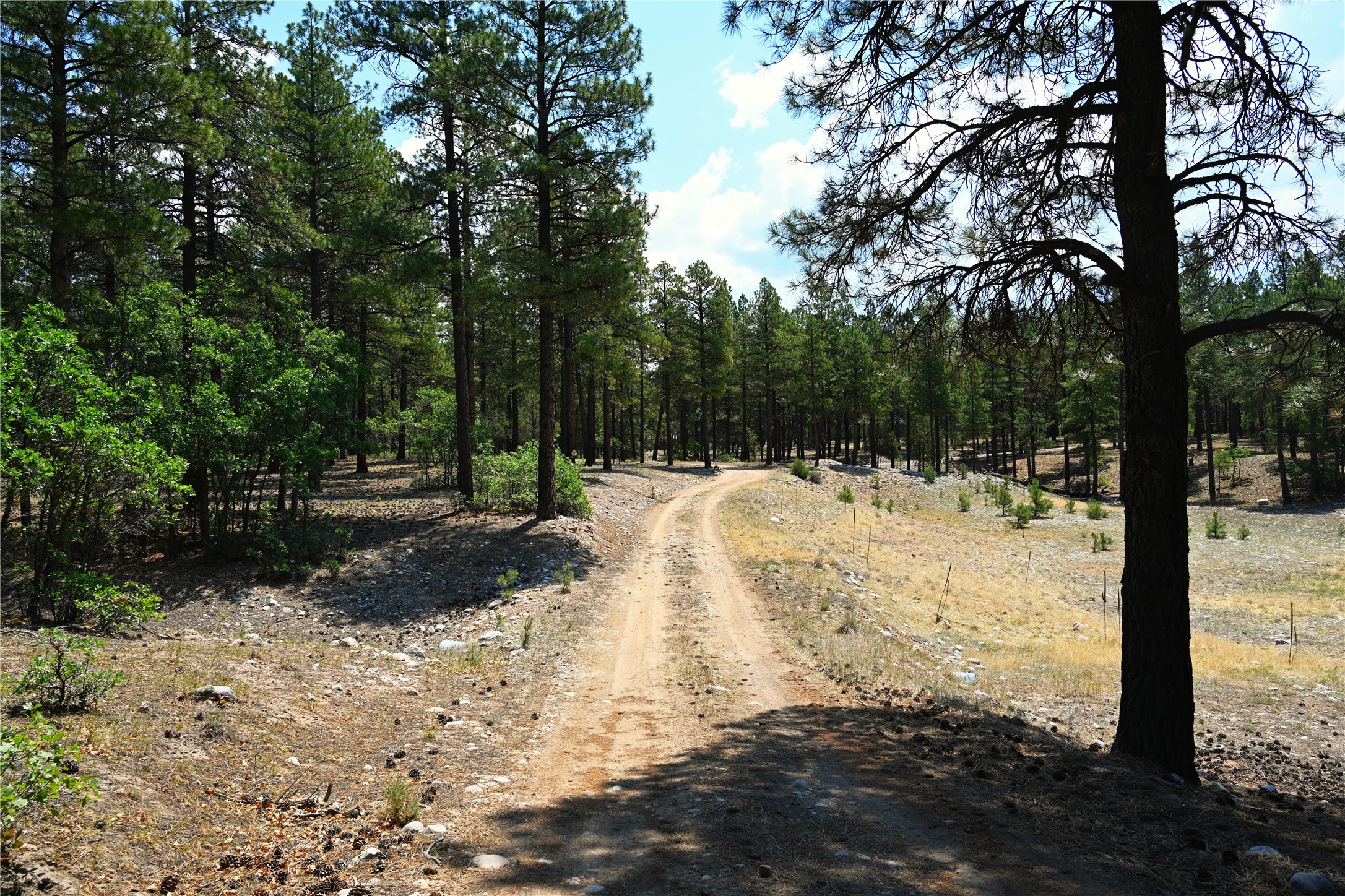 0 The Forks Road Chama, NM 87520 - Photo 11 of 25 Gallery Image 11
