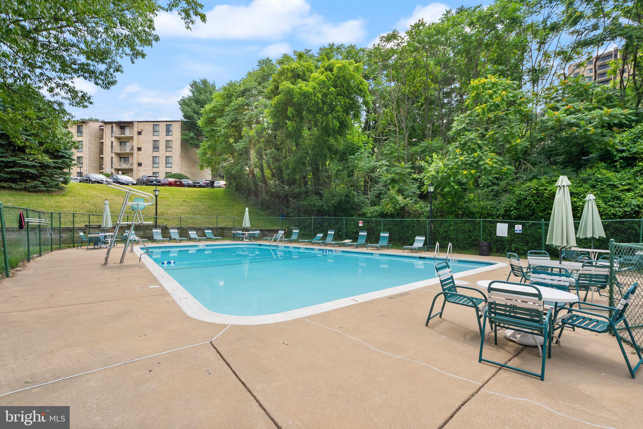 6137 Edsall Road, Unit L Alexandria, VA 22304 - Photo 35 of 36 a view of a swimming pool with lounge chairs in back yard