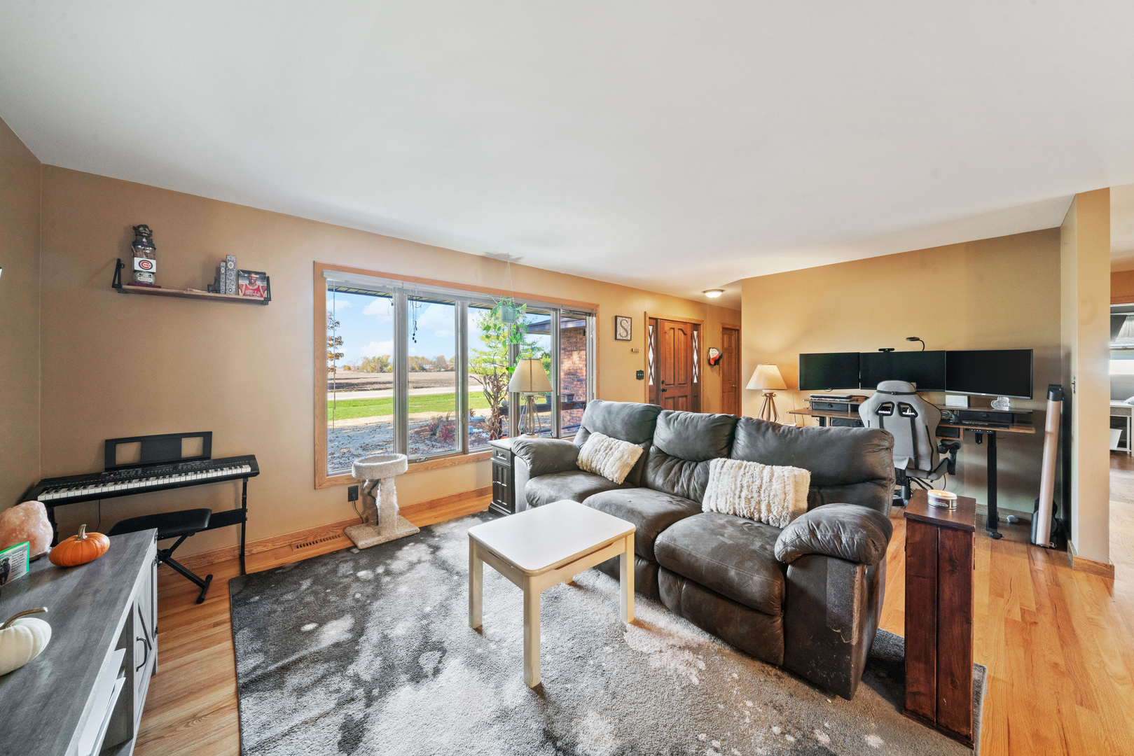 33844 North State Road Genoa, IL 60135 - Photo 3 of 33 a living room with furniture and a window