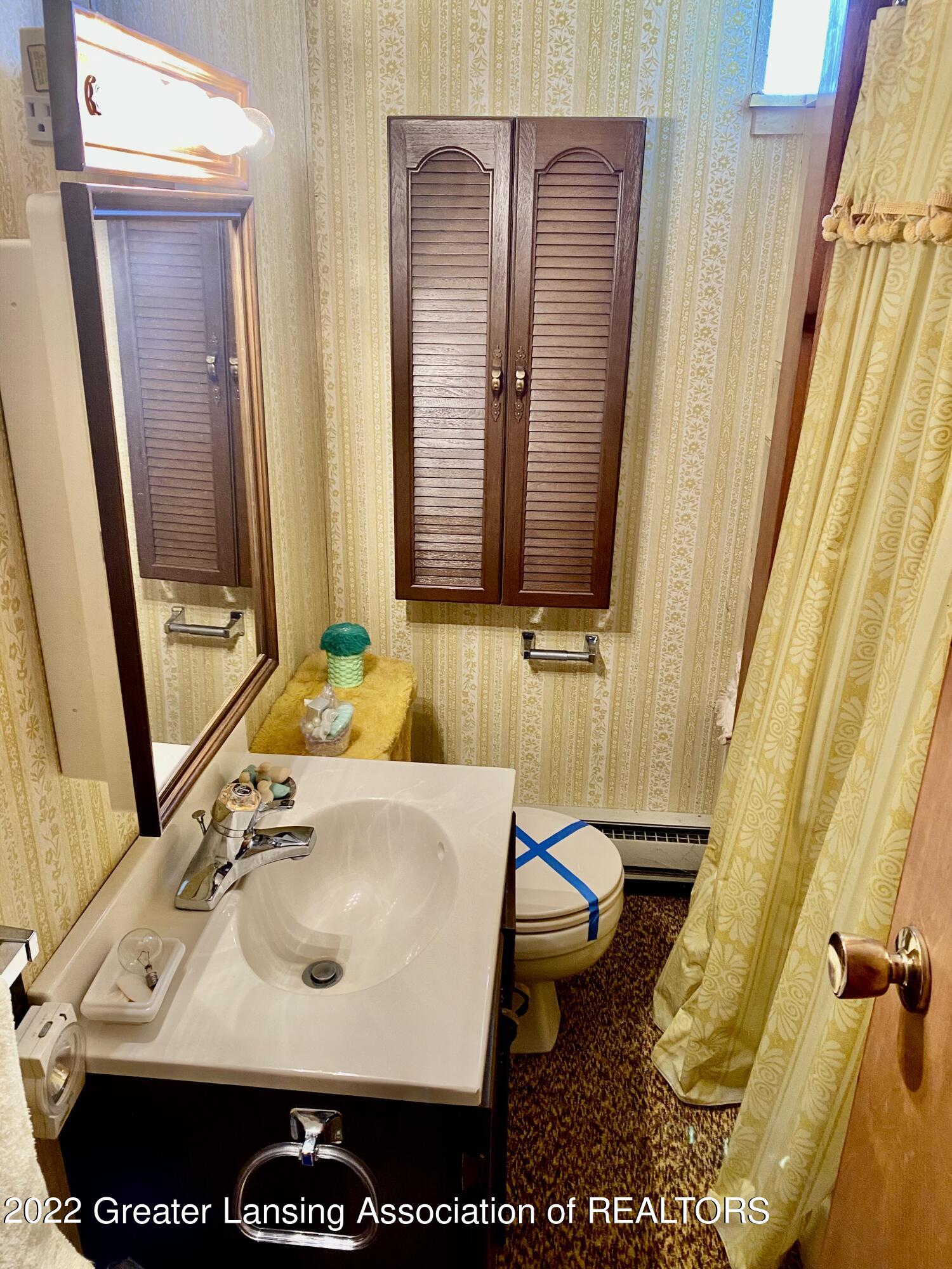 4770 North Gunnell Road Dimondale, MI 48821 - Photo 23 of 32 Basement bath