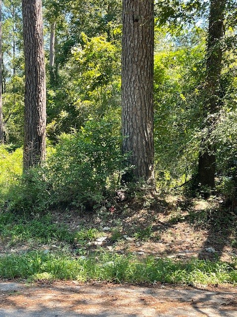 0 Idle Wilde Roadway Road New Caney, TX 77357 - Photo 11 of 12