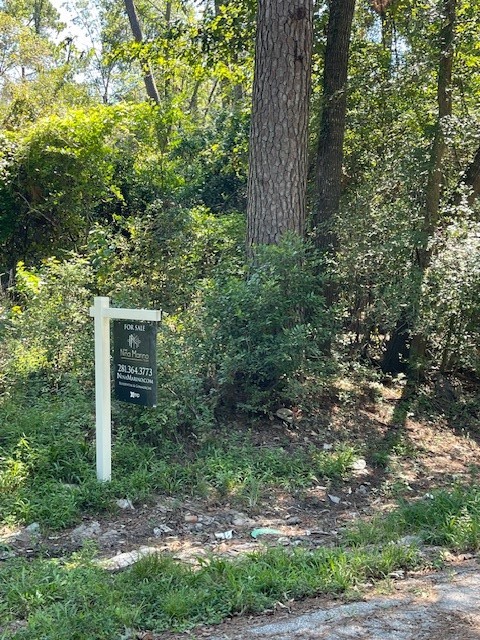 0 Idle Wilde Roadway Road New Caney, TX 77357 - Photo 12 of 12