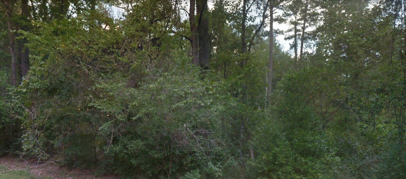 0 Idle Wilde Roadway Road New Caney, TX 77357 - Photo 3 of 12