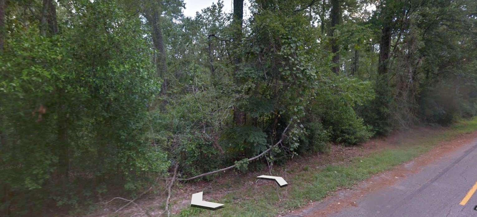 0 Idle Wilde Roadway Road New Caney, TX 77357 - Photo 6 of 12