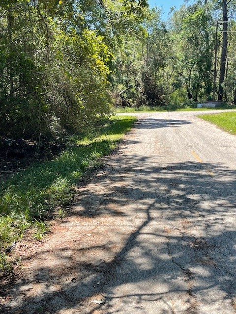 0 Idle Wilde Roadway Road New Caney, TX 77357 - Photo 9 of 12