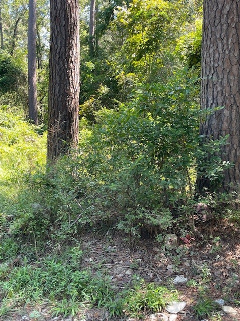 0 Idle Wilde Roadway Road New Caney, TX 77357 - Photo 10 of 12