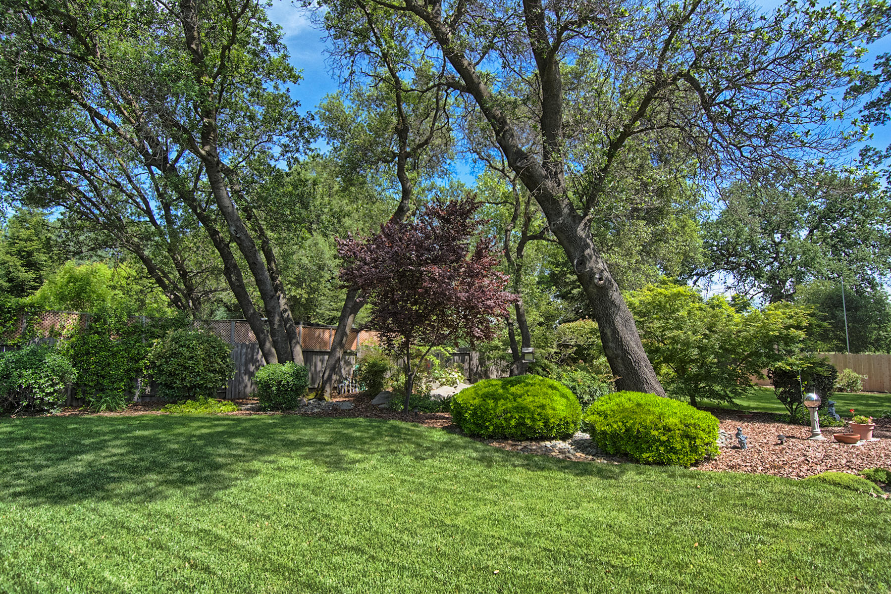6631 Riata Drive Redding, CA 96002 - Photo 38 of 57 riata-137