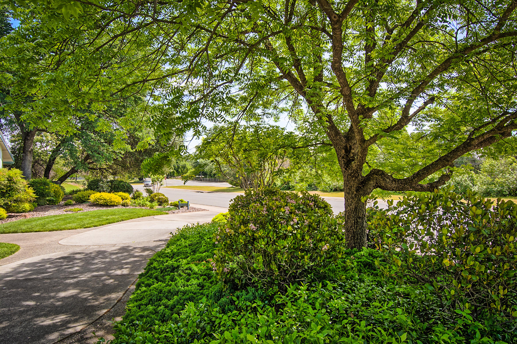 6631 Riata Drive Redding, CA 96002 - Photo 57 of 57 riata-156