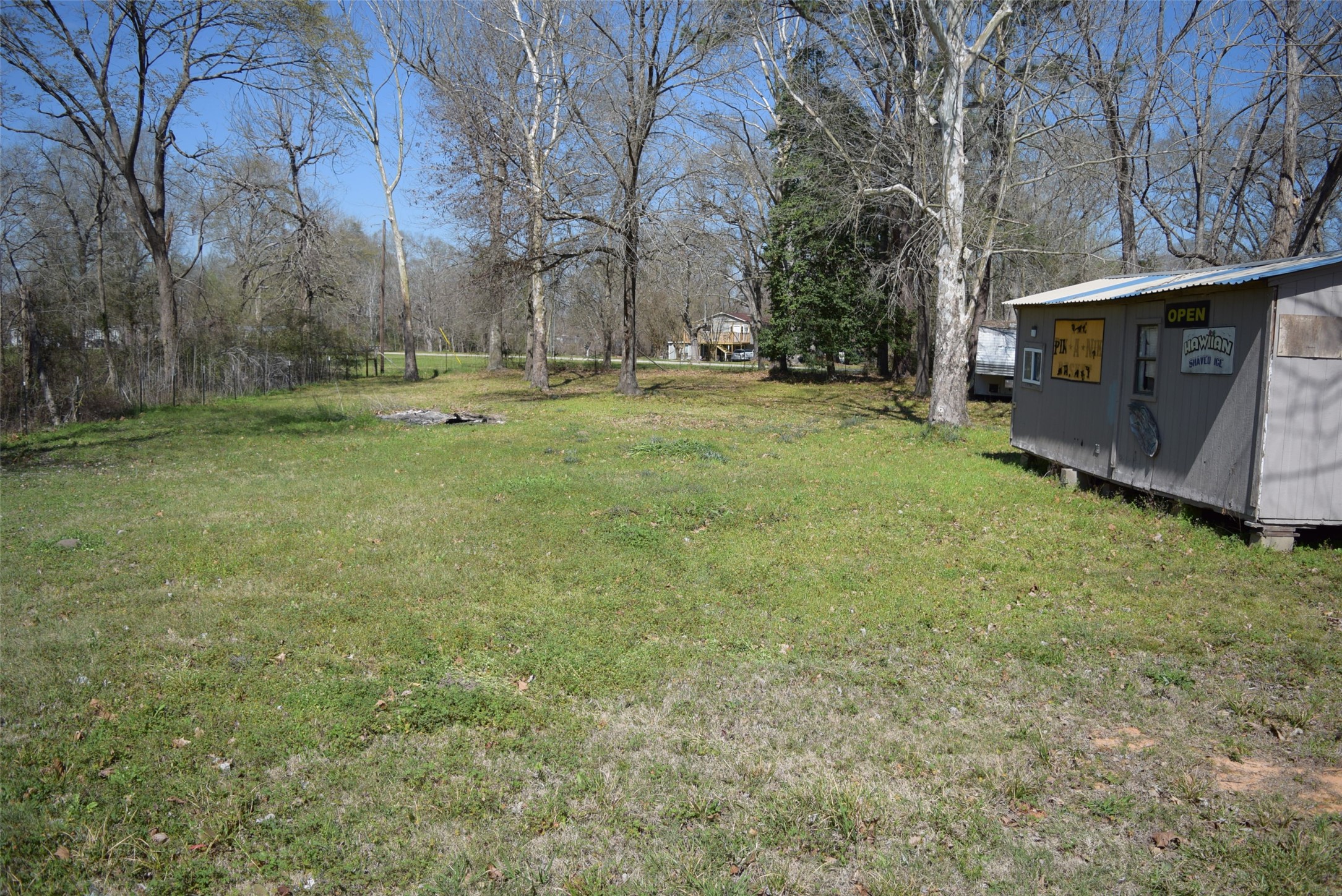 161 Irene Street Shepherd, TX 77371 - Photo 23 of 27 a view of backyard with tree