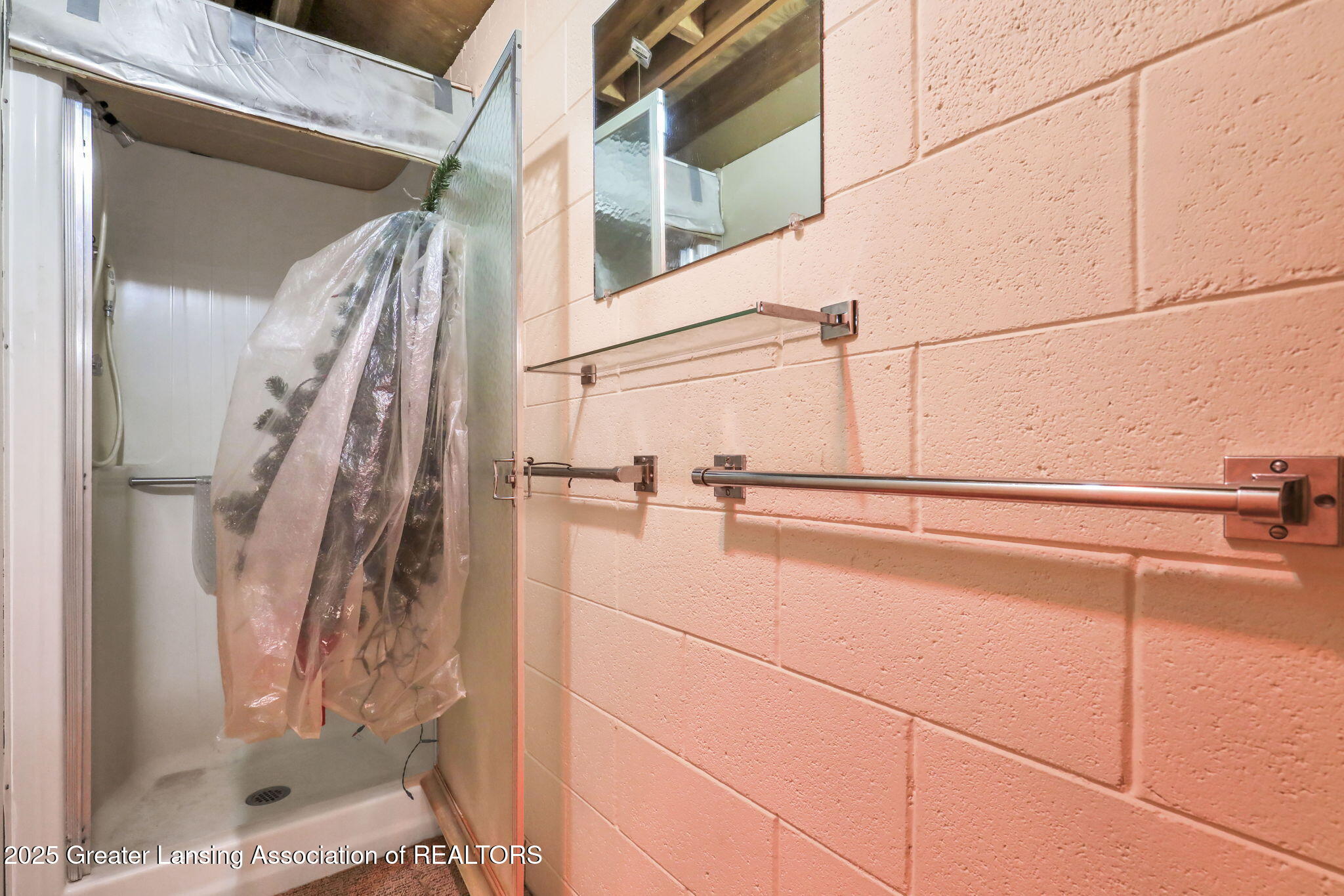 847 North Waverly Road Dimondale, MI 48821 - Photo 53 of 65 53-web-or-mls-9I3A0903
