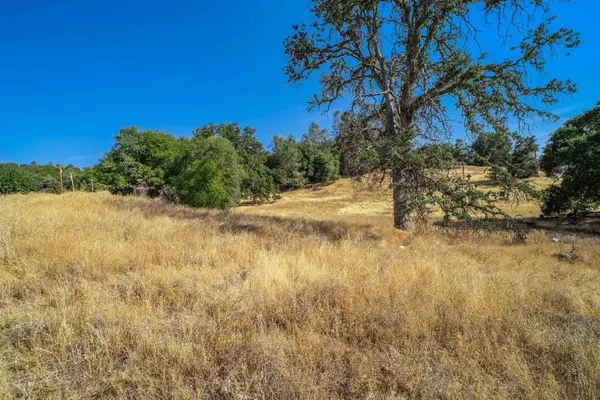 a view of ocean view with large trees
