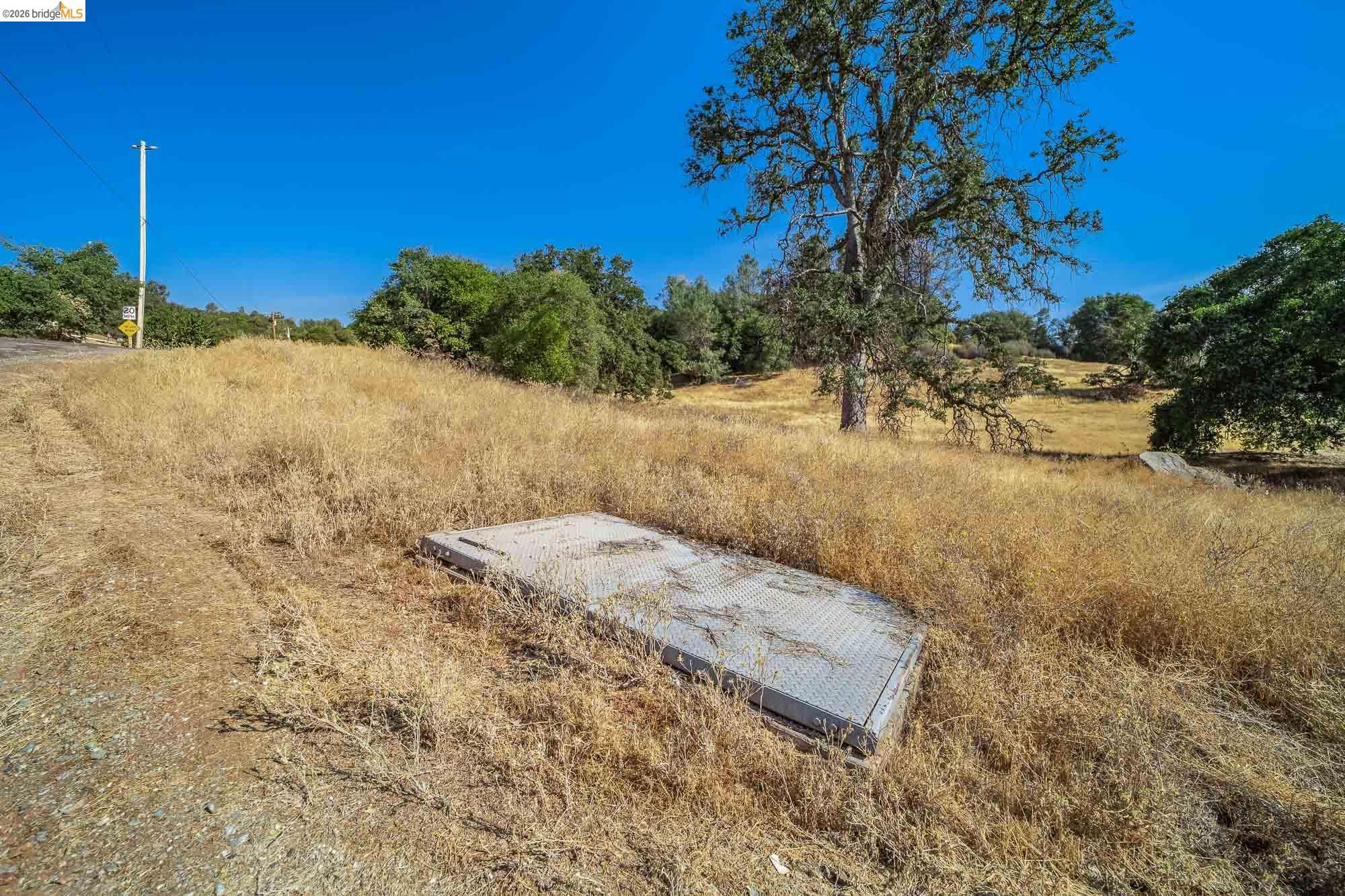 0 Sturgis Road Sonora, CA 95370 - Photo 16 of 18 a view of a yard with a tree