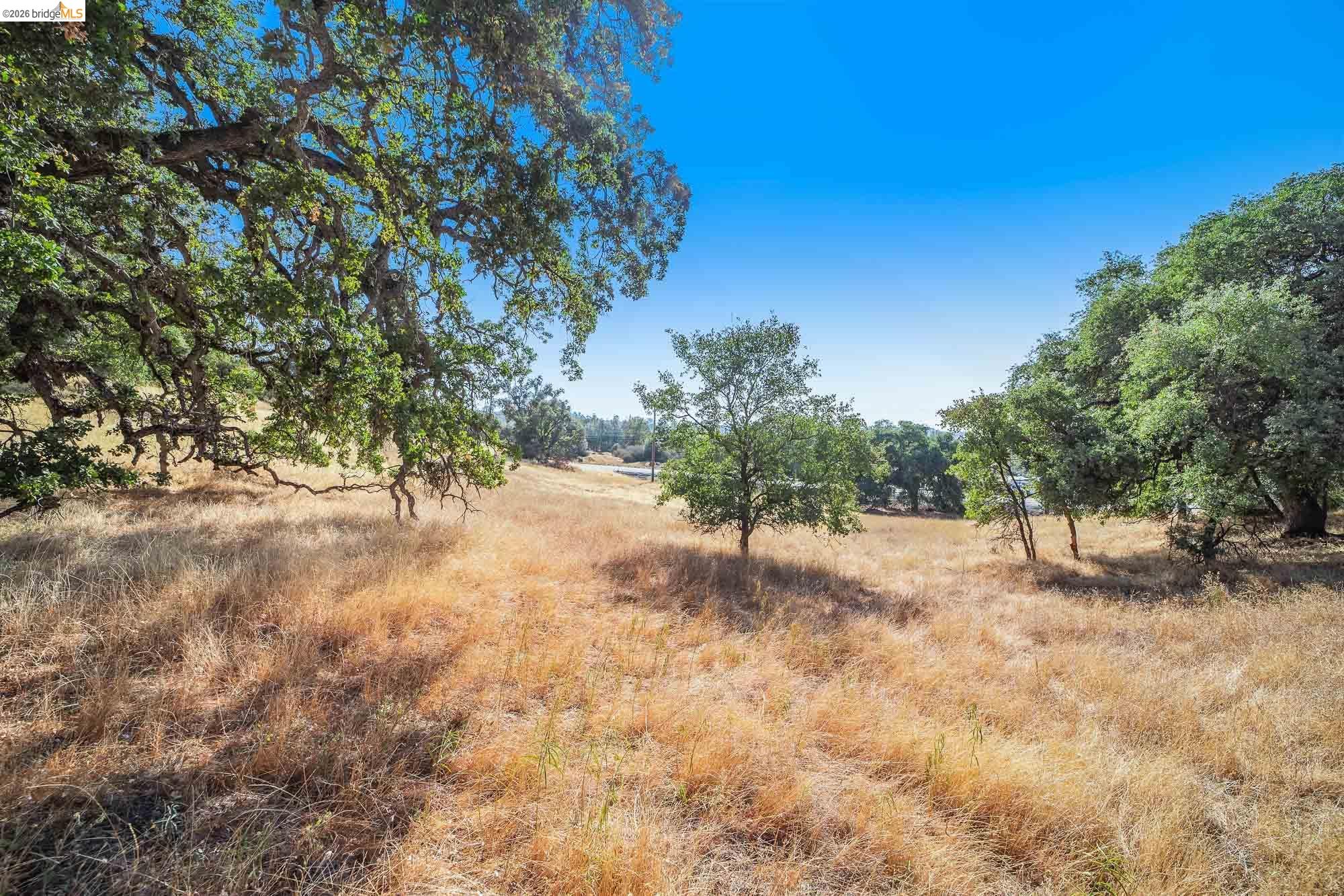 0 Sturgis Road Sonora, CA 95370 - Photo 18 of 18 a view of a yard with a tree