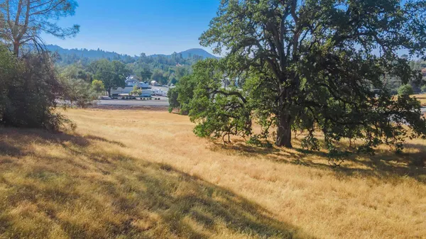 a view of a yard with a tree