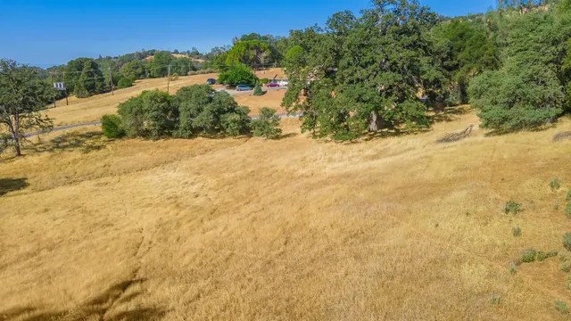 a view of a yard with pathway