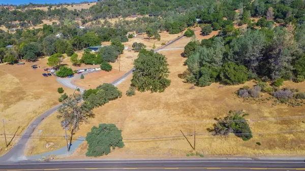 a view of a yard with a tree