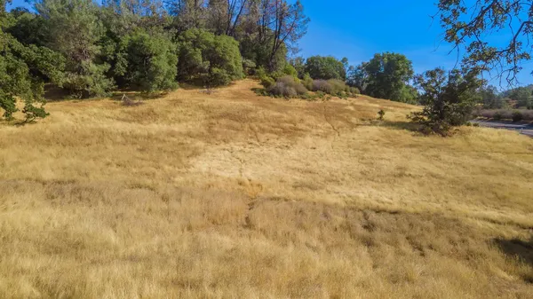 a view of empty yard