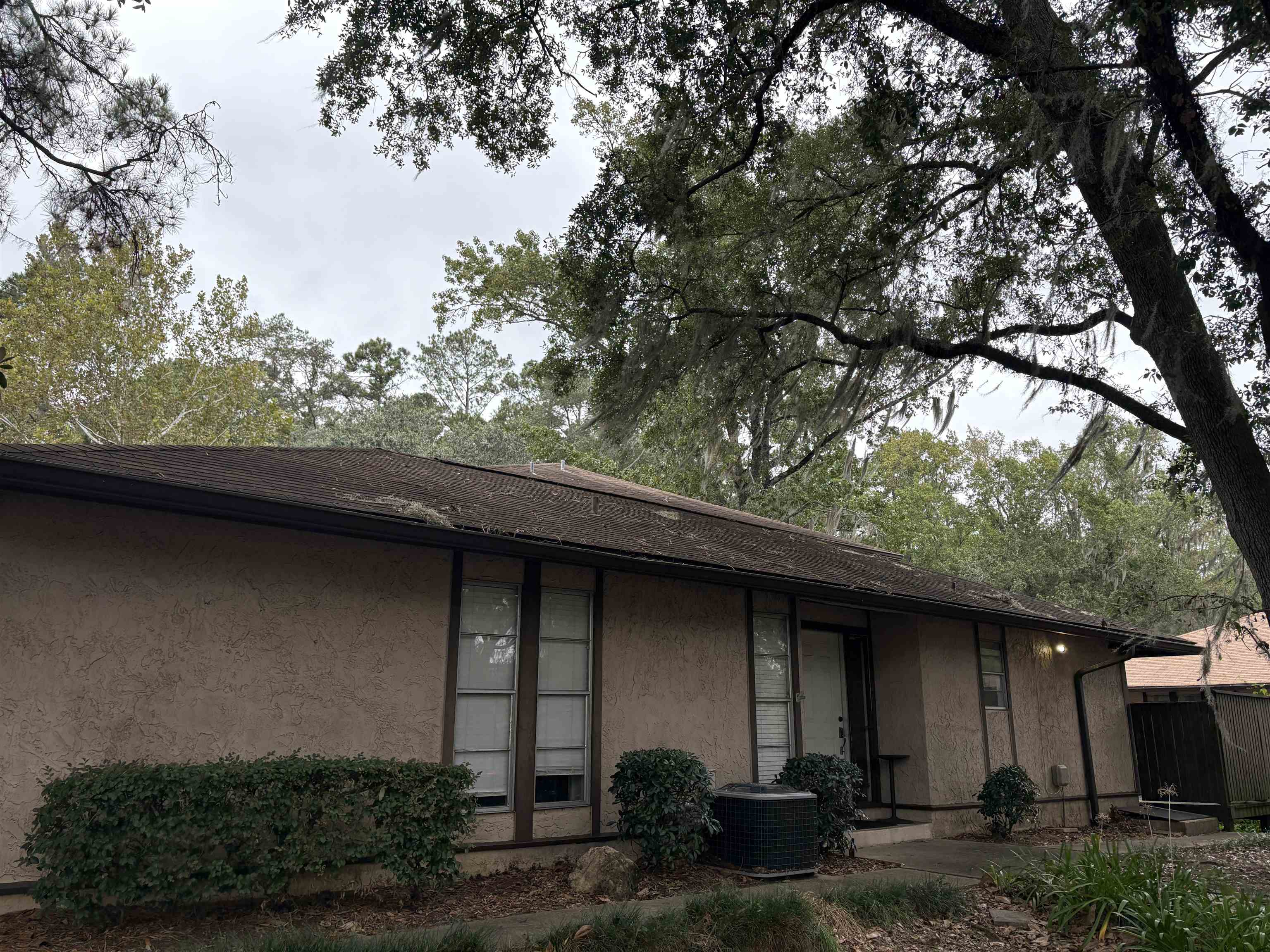 201 Westwood Drive, Unit 201 Tallahassee, FL 32304 - Photo 2 of 11